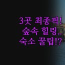 숲속의민박 | 백양사 숙소 추천 | 실제 후기 숲속 디톡스 힐링 | 호텔 한옥펜션 민박 3곳 완벽 비교 분석 | 여행...