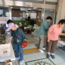 다육이사랑방