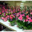 정읍 우체국 이미지