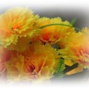 좋은세상 이미지