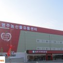 영주농산물유통센터 이미지