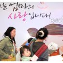 서울시 유아교육전시회 이벤트, 세미나 일정 이미지