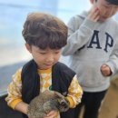 승재 농장 이미지