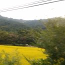 점말농장 이미지