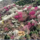 엘지농원 2 이미지