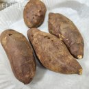 금천동 맛집 탑브릭스 방문자 후기