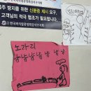 세상에 이런포차 이미지