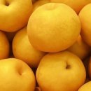 우영농장 이미지