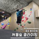 종로 클라이밍 서울숲클라이밍 종로점 전신운동 후기