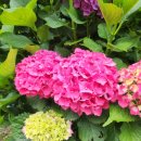 원지 농장 이미지