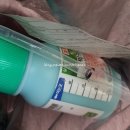 뿌리 파리 박멸을 위한 빅카드 구입 - 종로 광장시장 한아름 종묘사 빅카드 가격