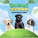 킁킁