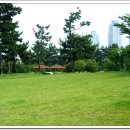 두대로-3 이미지