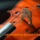 첼로 이미지