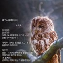 鶹 You(올빼미 류) 이미지