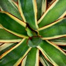 창전농장 이미지