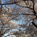 골드부동산중개사무소 이미지