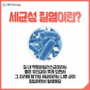 세린약국 이미지