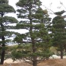 박종수농장 이미지