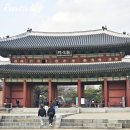 서울 가볼만한곳 창덕궁 가는길 후원 해설 시간 나홀로 서울여행