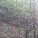 폐기물처리시설 삼거리 이미지