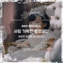 이쁘개멋지개 | 이쁘고 화사한 컨셉 영통 수원 돌촬영스튜디오