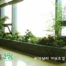 뜰안의행복 이미지