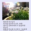 샬롬 이미지