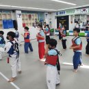 비산태권도체육관 이미지