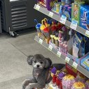 고척재미난 이미지