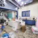 전주한들초등학교 이미지