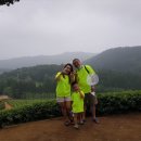 보성녹차골휴게소 이미지