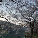 동구리호수공원주차장 이미지