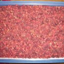 대한건재 이미지