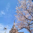 햇잎갈비논산점 이미지