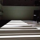 플라스틱 신화들 이미지