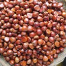 산, 알밤 소자 10kg 35.000원 택비 없어요 이미지