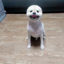 몽몽솔솔 이미지