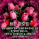 행복한잔 이미지