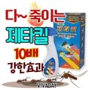 벅스존 - 서귀포시 일주동로 6242 | 벅스존