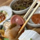 죽도해삼 이미지