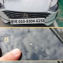 진영차유리