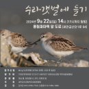 🌊 [9월 수라갯벌에 들기] 함께 해요! 🌊 (새만금신공항 백지화공동행동) 이미지