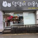 댕댕이 미용실 | [청주/용정동] 노견 강아지 편안하게 미용 받은 댕댕이미용실 후기