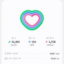 동서회관식당 | 3월 3주차 일상 글｜처제 왜 또 옴?...