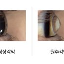 생기나라한의원 이미지