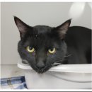 화정천동로 이미지