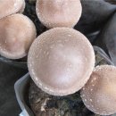 산마루풍경 이미지