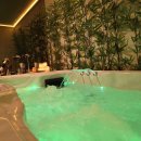 하이스파 이미지