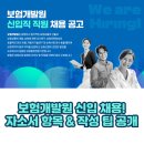 보험개발원 신입 채용! 자소서 항목 &amp; 작성 팁 공개